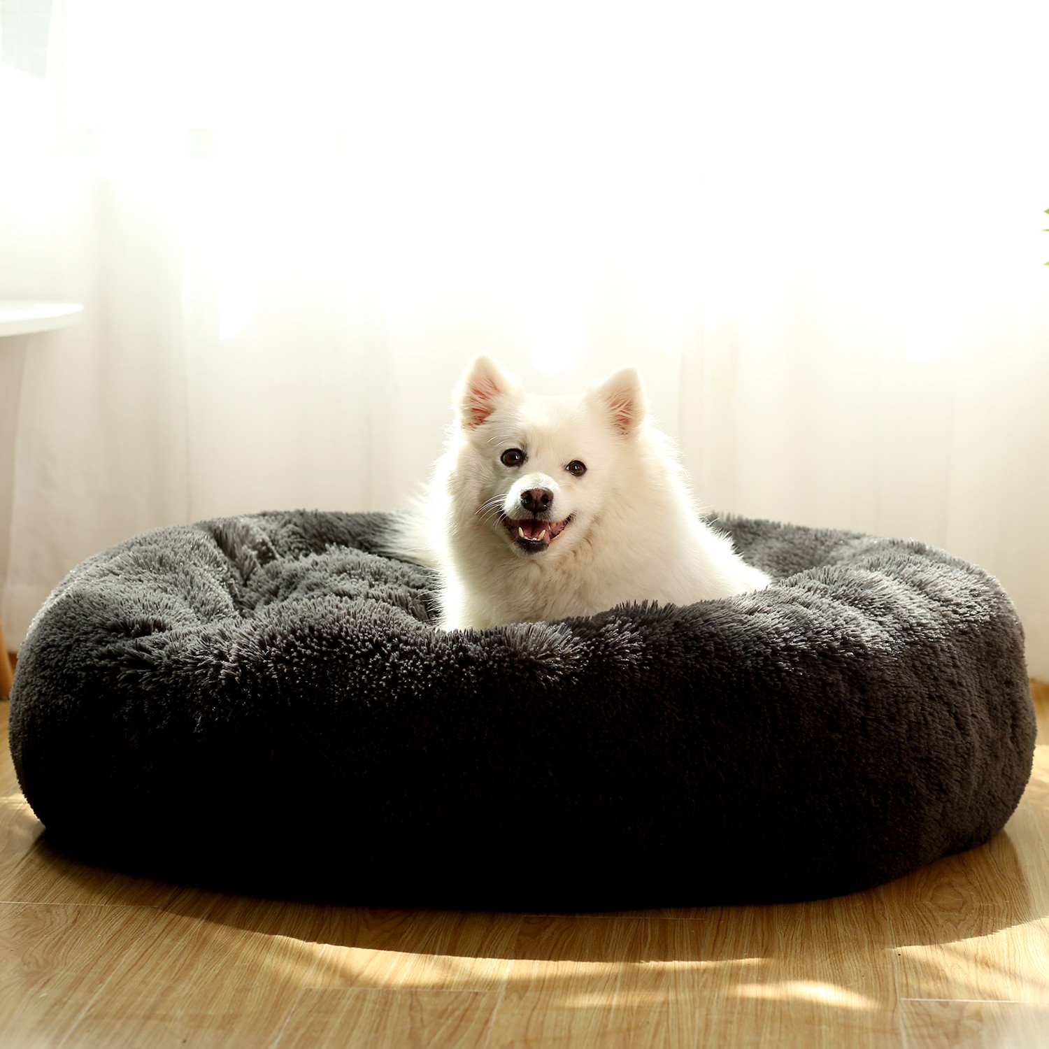 cute dog beds